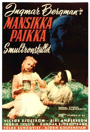 wild-strawberries
