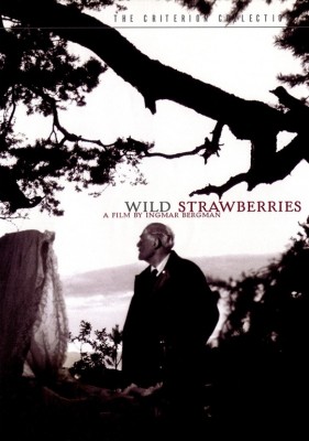 wild-strawberries1