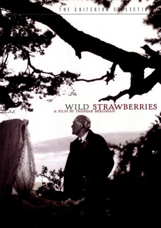 wild-strawberries1