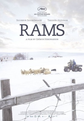 hrútar-rams-poster