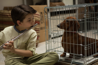 Weiner-Dog-2-620x412